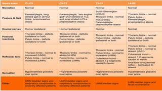 Basic Cns Pattern CNS Localization.pptxcns vns cns cns cns | PPTX