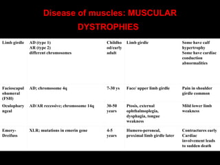 Disease of muscles: MUSCULAR DYSTROPHIES       Limb girdle AD (type 1) AR (type 2) different chromosomes Childhood/early adult Limb girdle Some have calf hypertrophy Some have cardiac conduction abnormalities Facioscapulohumeral (FSH) AD; chromosome 4q 7-30 ys Face/ upper limb girdle Pain in shoulder girdle common Oculopharyngeal AD/AR recessive; chromosome 14q 30-50 years Ptosis, external ophthalmoplegia, dysphagia, tongue weakness Mild lower limb weakness Emery-Dreifuss XLR; mutations in emerin gene 4-5 years Humero-peroneal, proximal limb girdle later Contractures early Cardiac involvement leads to sudden death 