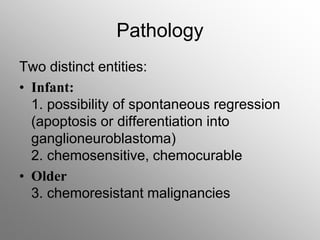 Pathology
Two distinct entities:
• Infant:
1. possibility of spontaneous regression
(apoptosis or differentiation into
ganglioneuroblastoma)
2. chemosensitive, chemocurable
• Older
3. chemoresistant malignancies
 