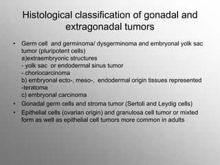 Histological classification of gonadal and
extragonadal tumors
• Germ cell and germinoma/ dysgerminoma and embryonal yolk sac
tumor (pluripotent cells)
a)extraembryonic structures
- yolk sac or endodermal sinus tumor
- choriocarcinoma
b) embryonal ecto-, meso-, endodermal origin tissues represented
-teratoma
c) embryonal carcinoma
• Gonadal germ cells and stroma tumor (Sertoli and Leydig cells)
• Epithelial cells (ovarian origin) and granulosa cell tumor or mixted
form as well as epithelial cell tumors more common in adults
 