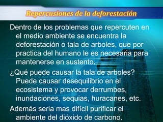 Dentro de los problemas que repercuten en
 el medio ambiente se encuentra la
 deforestación o tala de arboles, que por
 practica del humano le es necesaria para
 mantenerse en sustento.
¿Qué puede causar la tala de arboles?
 Puede causar desequilibrio en el
 ecosistema y provocar derrumbes,
 inundaciones, sequias, huracanes, etc.
Además seria mas difícil purificar el
 ambiente del dióxido de carbono.
 