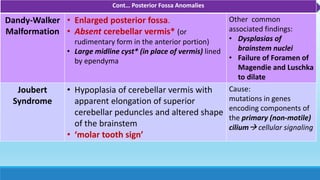 Malformations and Devt’al DisordersCont… Posterior Fossa Anomalies
Dandy-Walker
Malformation
• Enlarged posterior fossa.
• Absent cerebellar vermis* (or
rudimentary form in the anterior portion)
• Large midline cyst* (in place of vermis) lined
by ependyma
Other common
associated findings:
• Dysplasias of
brainstem nuclei
• Failure of Foramen of
Magendie and Luschka
to dilate
Joubert
Syndrome
• Hypoplasia of cerebellar vermis with
apparent elongation of superior
cerebellar peduncles and altered shape
of the brainstem
• ‘molar tooth sign’
Cause:
mutations in genes
encoding components of
the primary (non-motile)
cilium cellular signaling
 
