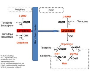 79
Levodopa
3-OMD
Tolcapone
Entacapone
(-)
Blood
brain
barrier
Levodopa
3-OMD
Dopamine
Dopamine
3-MT DOPAC
COMT
DDC
Carbidopa
Benserazid (-)
Tolcapone
COMT (-)
DDC
COMT
Tolcapone
HVA
MAO-B
MAO-B
COMT
(-)
Selegiline
(-)
(-)
OMD,O-methyldopa
DDC, dopadecarboxylase
HVA,homovanilic acid
MT,methoxytyramine
DOPAC,dihydroxy phenylacetic acid
COMT, catechol-o-methyl transferase
MAO-B, Monoamine oxidase B
Brain
Periphery
 
