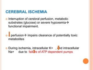 CEREBRAL ISCHEMIA
 Interruption of cerebral perfusion, metabolic
substrates (glucose) or severe hypoxemia
functional impairment.
 perfusion impairs clearance of potentially toxic
metabolites
 During ischemia, intracellular K+ , and intracellular
Na+ due to failure of ATP dependent pumps
 