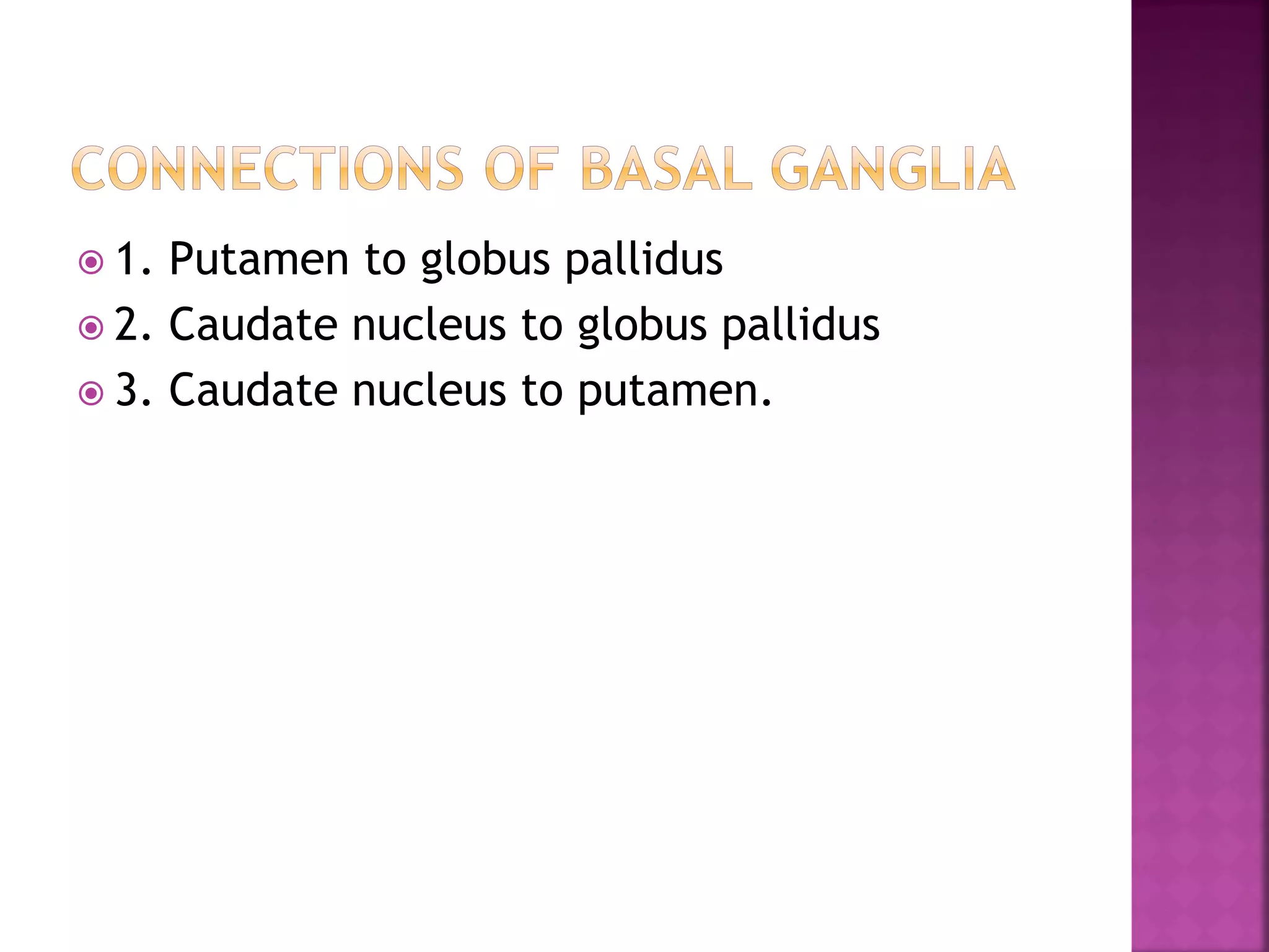  1. Putamen to globus pallidus
 2. Caudate nucleus to globus pallidus
 3. Caudate nucleus to putamen.
 