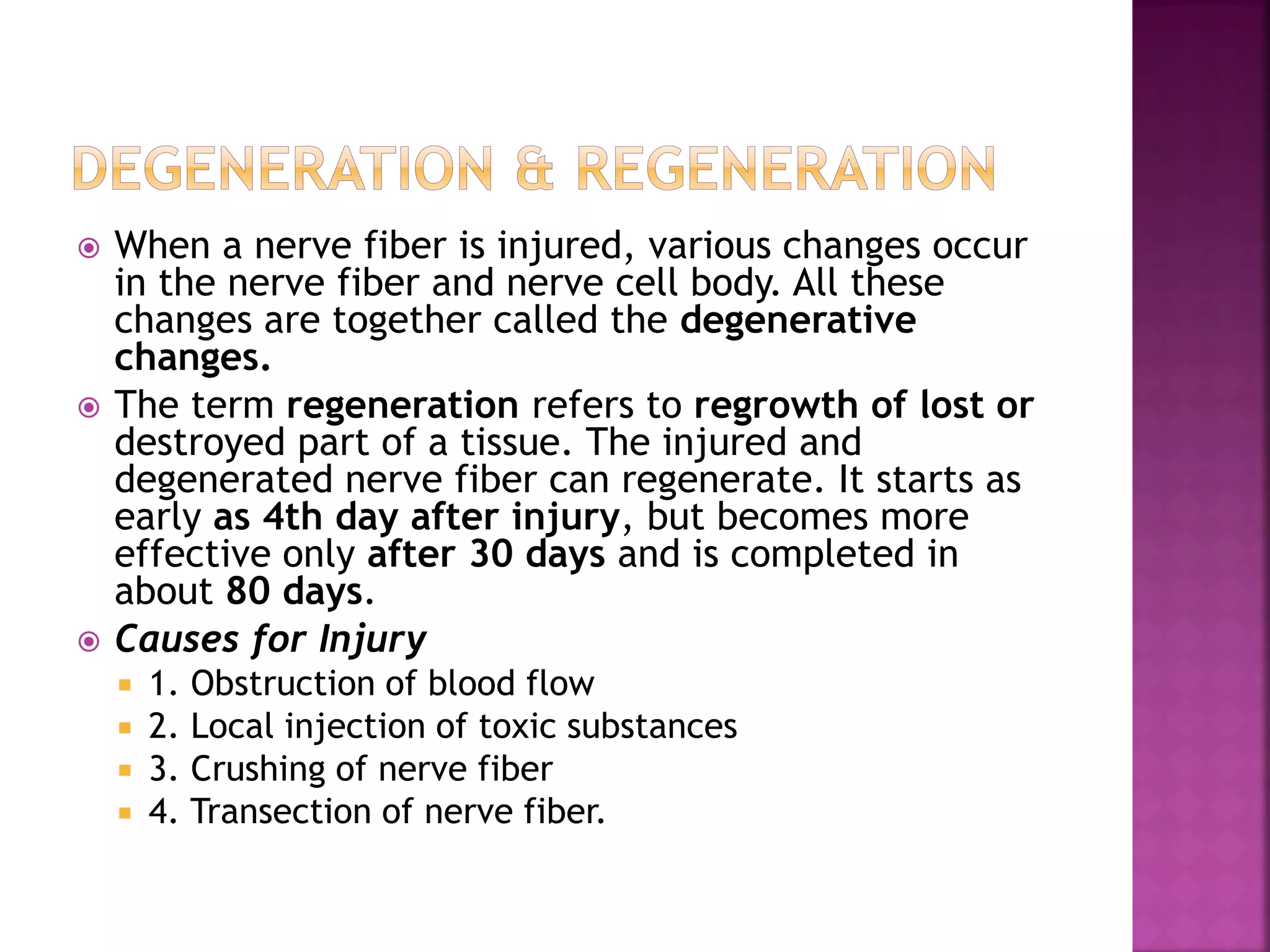  When a nerve fiber is injured, various changes occur
in the nerve fiber and nerve cell body. All these
changes are together called the degenerative
changes.
 The term regeneration refers to regrowth of lost or
destroyed part of a tissue. The injured and
degenerated nerve fiber can regenerate. It starts as
early as 4th day after injury, but becomes more
effective only after 30 days and is completed in
about 80 days.
 Causes for Injury
 1. Obstruction of blood flow
 2. Local injection of toxic substances
 3. Crushing of nerve fiber
 4. Transection of nerve fiber.
 