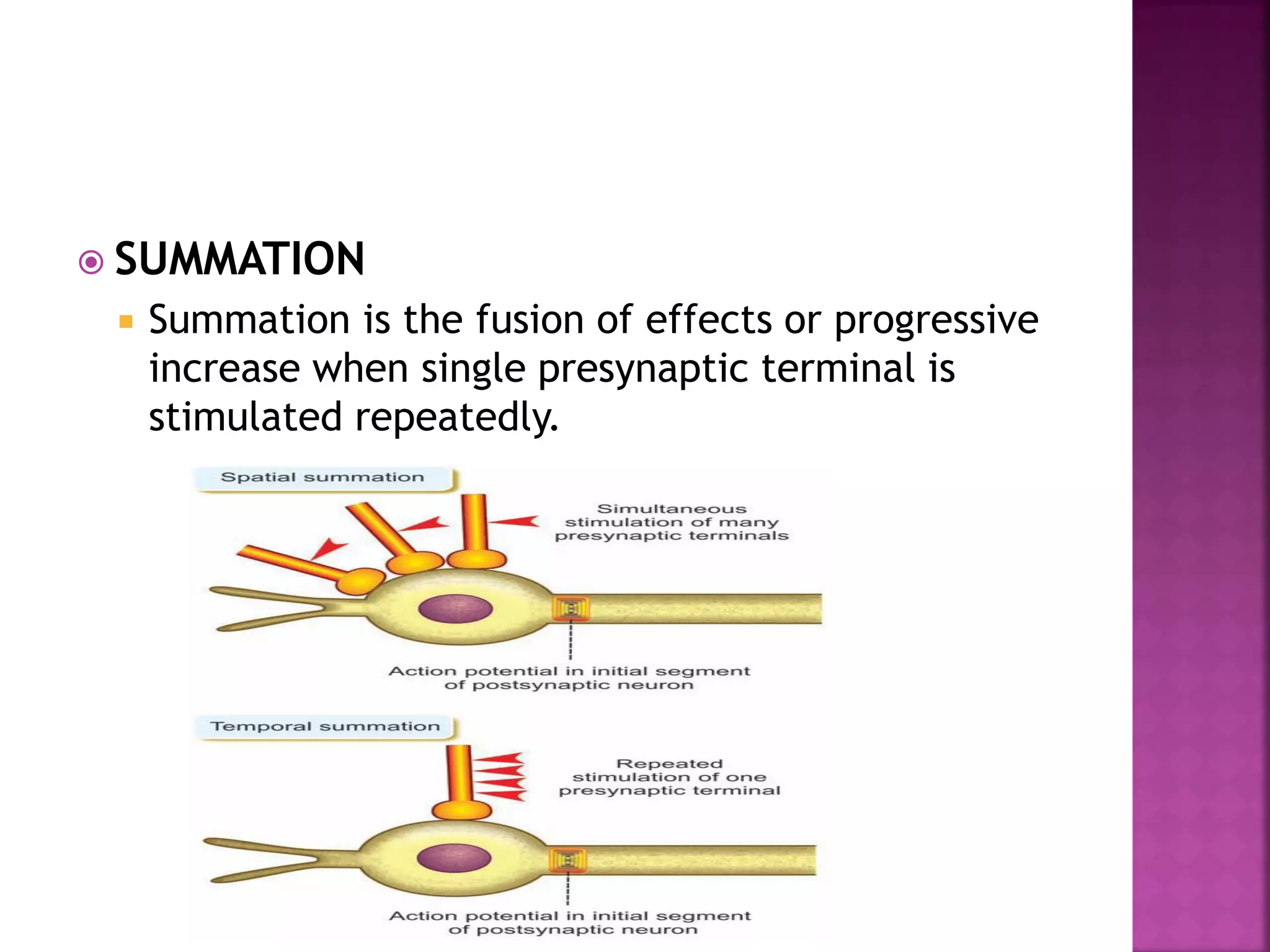  SUMMATION
 Summation is the fusion of effects or progressive
increase when single presynaptic terminal is
stimulated repeatedly.
 