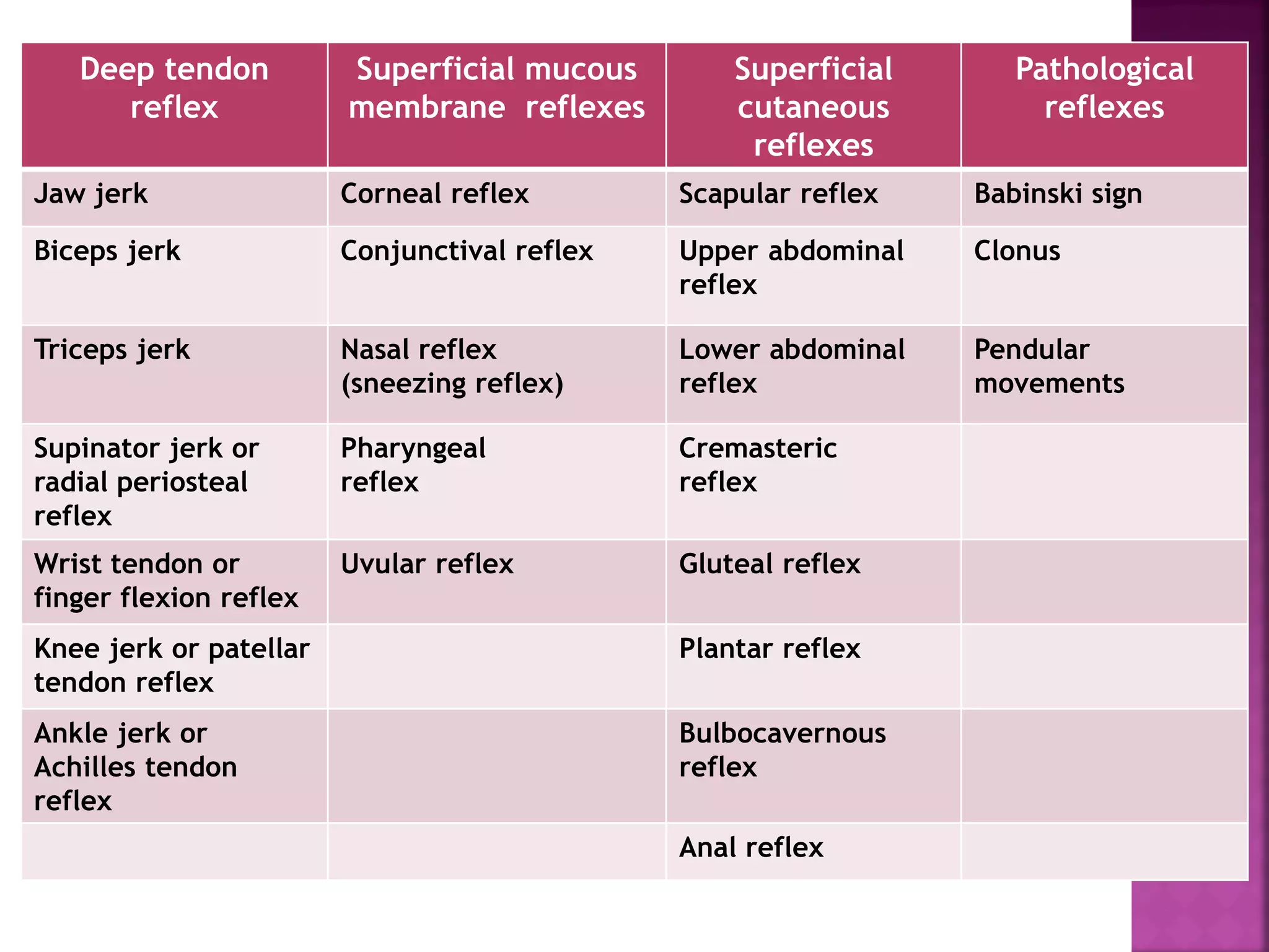 Deep tendon
reflex
Superficial mucous
membrane reflexes
Superficial
cutaneous
reflexes
Pathological
reflexes
Jaw jerk Corneal reflex Scapular reflex Babinski sign
Biceps jerk Conjunctival reflex Upper abdominal
reflex
Clonus
Triceps jerk Nasal reflex
(sneezing reflex)
Lower abdominal
reflex
Pendular
movements
Supinator jerk or
radial periosteal
reflex
Pharyngeal
reflex
Cremasteric
reflex
Wrist tendon or
finger flexion reflex
Uvular reflex Gluteal reflex
Knee jerk or patellar
tendon reflex
Plantar reflex
Ankle jerk or
Achilles tendon
reflex
Bulbocavernous
reflex
Anal reflex
 