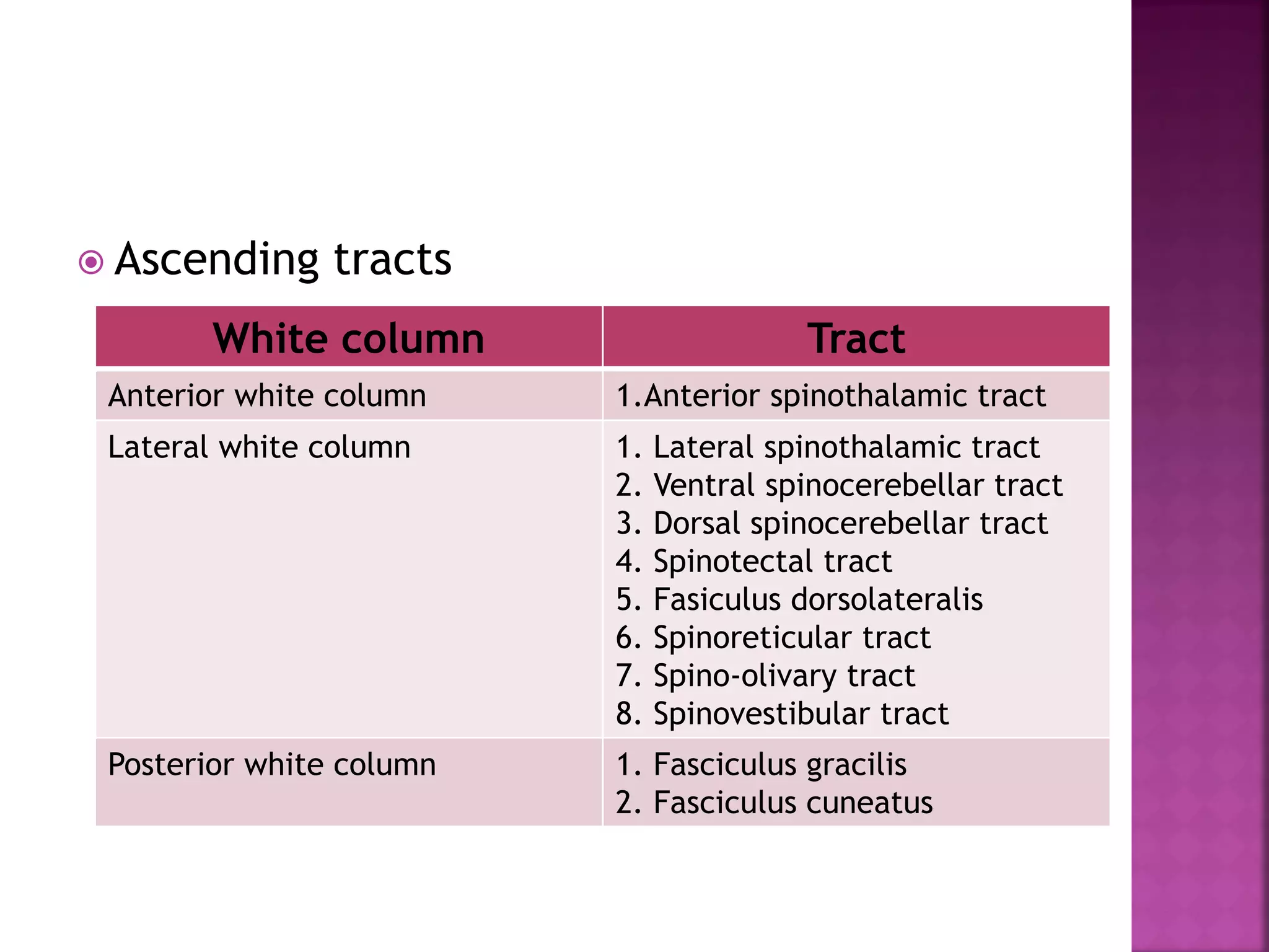  Ascending tracts
White column Tract
Anterior white column 1.Anterior spinothalamic tract
Lateral white column 1. Lateral spinothalamic tract
2. Ventral spinocerebellar tract
3. Dorsal spinocerebellar tract
4. Spinotectal tract
5. Fasiculus dorsolateralis
6. Spinoreticular tract
7. Spino-olivary tract
8. Spinovestibular tract
Posterior white column 1. Fasciculus gracilis
2. Fasciculus cuneatus
 