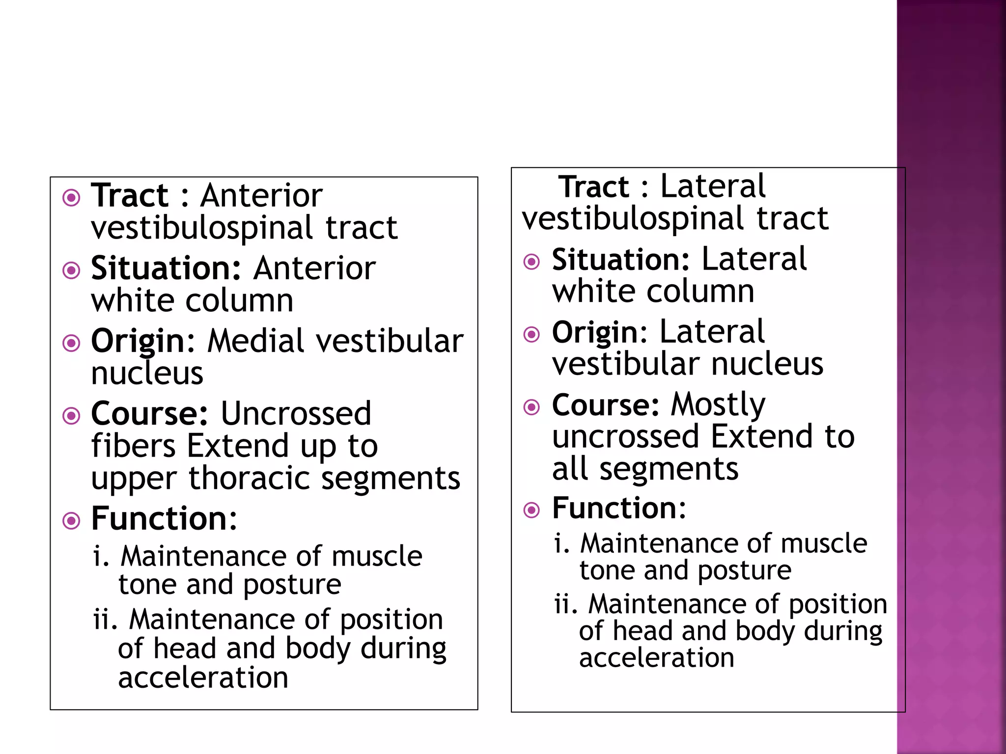  Tract : Anterior
vestibulospinal tract
 Situation: Anterior
white column
 Origin: Medial vestibular
nucleus
 Course: Uncrossed
fibers Extend up to
upper thoracic segments
 Function:
i. Maintenance of muscle
tone and posture
ii. Maintenance of position
of head and body during
acceleration
Tract : Lateral
vestibulospinal tract
 Situation: Lateral
white column
 Origin: Lateral
vestibular nucleus
 Course: Mostly
uncrossed Extend to
all segments
 Function:
i. Maintenance of muscle
tone and posture
ii. Maintenance of position
of head and body during
acceleration
 