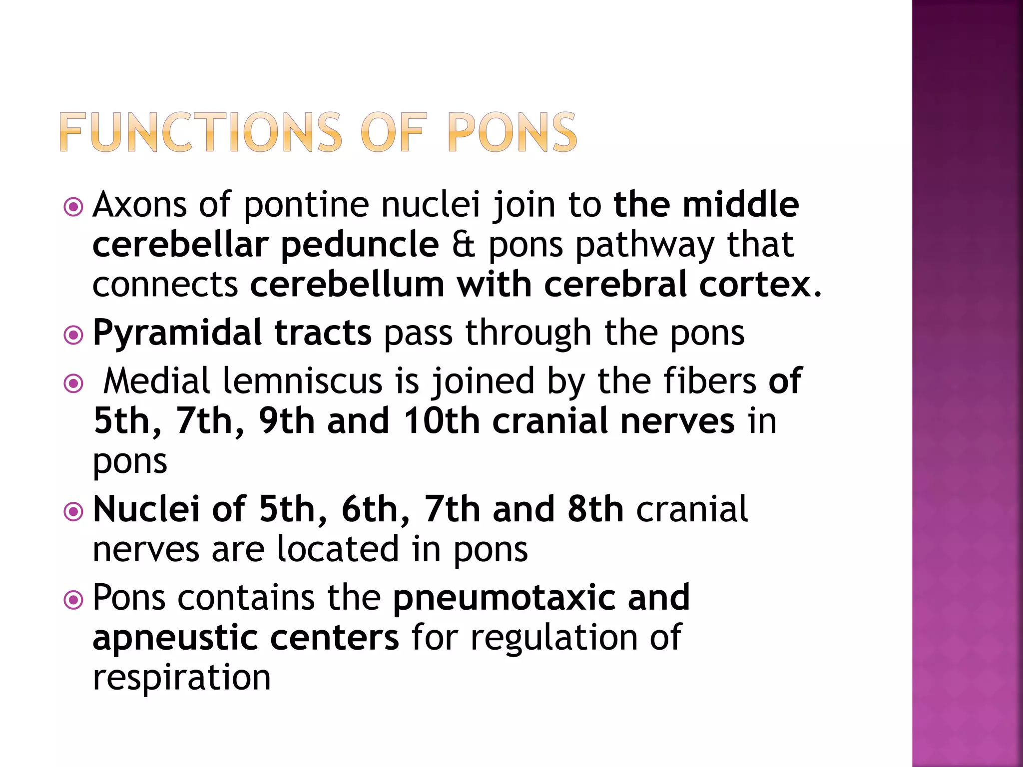  Axons of pontine nuclei join to the middle
cerebellar peduncle & pons pathway that
connects cerebellum with cerebral cortex.
 Pyramidal tracts pass through the pons
 Medial lemniscus is joined by the fibers of
5th, 7th, 9th and 10th cranial nerves in
pons
 Nuclei of 5th, 6th, 7th and 8th cranial
nerves are located in pons
 Pons contains the pneumotaxic and
apneustic centers for regulation of
respiration
 