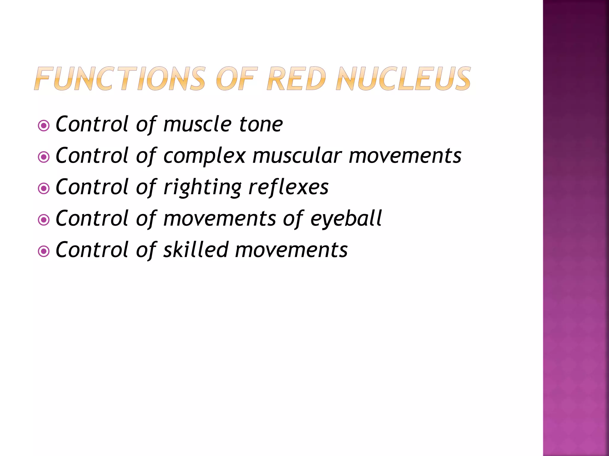  Control of muscle tone
 Control of complex muscular movements
 Control of righting reflexes
 Control of movements of eyeball
 Control of skilled movements
 