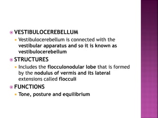  VESTIBULOCEREBELLUM
 Vestibulocerebellum is connected with the
vestibular apparatus and so it is known as
vestibulocerebellum
 STRUCTURES
 Includes the flocculonodular lobe that is formed
by the nodulus of vermis and its lateral
extensions called flocculi
 FUNCTIONS
 Tone, posture and equilibrium
 