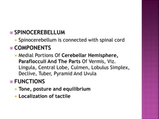  SPINOCEREBELLUM
 Spinocerebellum is connected with spinal cord
 COMPONENTS
 Medial Portions Of Cerebellar Hemisphere,
Paraflocculi And The Parts Of Vermis, Viz.
Lingula, Central Lobe, Culmen, Lobulus Simplex,
Declive, Tuber, Pyramid And Uvula
 FUNCTIONS
 Tone, posture and equilibrium
 Localization of tactile
 