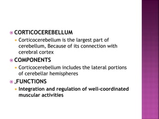  CORTICOCEREBELLUM
 Corticocerebellum is the largest part of
cerebellum, Because of its connection with
cerebral cortex
 COMPONENTS
 Corticocerebellum includes the lateral portions
of cerebellar hemispheres
 „FUNCTIONS
 Integration and regulation of well-coordinated
muscular activities
 