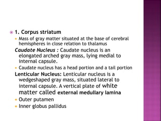  1. Corpus striatum
 Mass of gray matter situated at the base of cerebral
hemispheres in close relation to thalamus
Caudate Nucleus : Caudate nucleus is an
elongated arched gray mass, lying medial to
internal capsule.
 Caudate nucleus has a head portion and a tail portion
Lenticular Nucleus: Lenticular nucleus is a
wedgeshaped gray mass, situated lateral to
internal capsule. A vertical plate of white
matter called external medullary lamina
 Outer putamen
 Inner globus pallidus
 