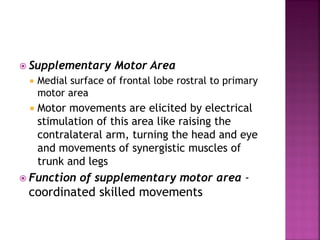  Supplementary Motor Area
 Medial surface of frontal lobe rostral to primary
motor area
 Motor movements are elicited by electrical
stimulation of this area like raising the
contralateral arm, turning the head and eye
and movements of synergistic muscles of
trunk and legs
 Function of supplementary motor area -
coordinated skilled movements
 