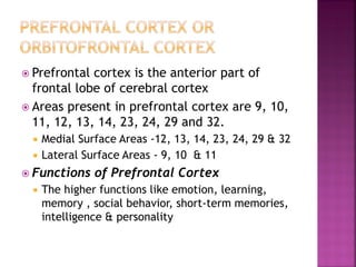  Prefrontal cortex is the anterior part of
frontal lobe of cerebral cortex
 Areas present in prefrontal cortex are 9, 10,
11, 12, 13, 14, 23, 24, 29 and 32.
 Medial Surface Areas -12, 13, 14, 23, 24, 29 & 32
 Lateral Surface Areas - 9, 10 & 11
 Functions of Prefrontal Cortex
 The higher functions like emotion, learning,
memory , social behavior, short-term memories,
intelligence & personality
 