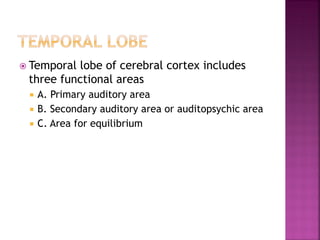  Temporal lobe of cerebral cortex includes
three functional areas
 A. Primary auditory area
 B. Secondary auditory area or auditopsychic area
 C. Area for equilibrium
 