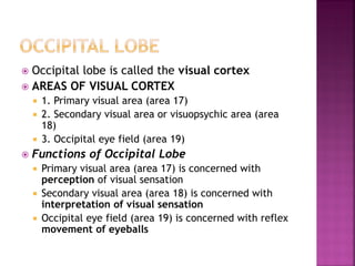  Occipital lobe is called the visual cortex
 AREAS OF VISUAL CORTEX
 1. Primary visual area (area 17)
 2. Secondary visual area or visuopsychic area (area
18)
 3. Occipital eye field (area 19)
 Functions of Occipital Lobe
 Primary visual area (area 17) is concerned with
perception of visual sensation
 Secondary visual area (area 18) is concerned with
interpretation of visual sensation
 Occipital eye field (area 19) is concerned with reflex
movement of eyeballs
 
