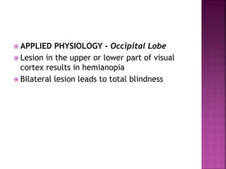 APPLIED PHYSIOLOGY - Occipital Lobe
 Lesion in the upper or lower part of visual
cortex results in hemianopia
 Bilateral lesion leads to total blindness
 