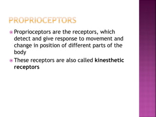  Proprioceptors are the receptors, which
detect and give response to movement and
change in position of different parts of the
body
 These receptors are also called kinesthetic
receptors
 