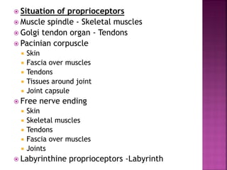  Situation of proprioceptors
 Muscle spindle - Skeletal muscles
 Golgi tendon organ - Tendons
 Pacinian corpuscle
 Skin
 Fascia over muscles
 Tendons
 Tissues around joint
 Joint capsule
 Free nerve ending
 Skin
 Skeletal muscles
 Tendons
 Fascia over muscles
 Joints
 Labyrinthine proprioceptors -Labyrinth
 