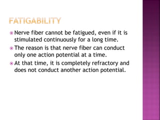  Nerve fiber cannot be fatigued, even if it is
stimulated continuously for a long time.
 The reason is that nerve fiber can conduct
only one action potential at a time.
 At that time, it is completely refractory and
does not conduct another action potential.
 