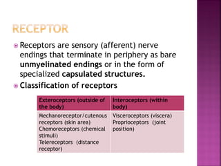  Receptors are sensory (afferent) nerve
endings that terminate in periphery as bare
unmyelinated endings or in the form of
specialized capsulated structures.
 Classification of receptors
Exteroceptors (outside of
the body)
Interoceptors (within
body)
Mechanoreceptor/cutenous
receptors (skin area)
Chemoreceptors (chemical
stimuli)
Telereceptors (distance
receptor)
Visceroceptors (viscera)
Proprioceptors (joint
position)
 