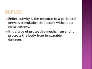  Reflex activity is the response to a peripheral
nervous stimulation that occurs without our
consciousness.
 It is a type of protective mechanism and it
protects the body from irreparable
damages.
 