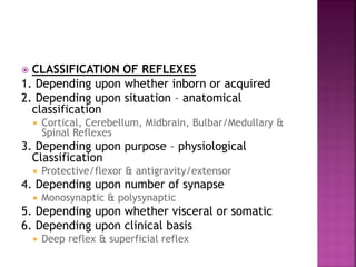  CLASSIFICATION OF REFLEXES
1. Depending upon whether inborn or acquired
2. Depending upon situation – anatomical
classification
 Cortical, Cerebellum, Midbrain, Bulbar/Medullary &
Spinal Reflexes
3. Depending upon purpose – physiological
Classification
 Protective/flexor & antigravity/extensor
4. Depending upon number of synapse
 Monosynaptic & polysynaptic
5. Depending upon whether visceral or somatic
6. Depending upon clinical basis
 Deep reflex & superficial reflex
 