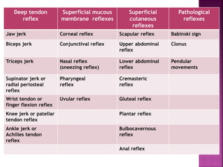Deep tendon
reflex
Superficial mucous
membrane reflexes
Superficial
cutaneous
reflexes
Pathological
reflexes
Jaw jerk Corneal reflex Scapular reflex Babinski sign
Biceps jerk Conjunctival reflex Upper abdominal
reflex
Clonus
Triceps jerk Nasal reflex
(sneezing reflex)
Lower abdominal
reflex
Pendular
movements
Supinator jerk or
radial periosteal
reflex
Pharyngeal
reflex
Cremasteric
reflex
Wrist tendon or
finger flexion reflex
Uvular reflex Gluteal reflex
Knee jerk or patellar
tendon reflex
Plantar reflex
Ankle jerk or
Achilles tendon
reflex
Bulbocavernous
reflex
Anal reflex
 