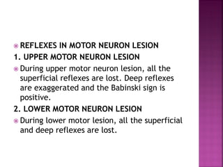  REFLEXES IN MOTOR NEURON LESION
1. UPPER MOTOR NEURON LESION
 During upper motor neuron lesion, all the
superficial reflexes are lost. Deep reflexes
are exaggerated and the Babinski sign is
positive.
2. LOWER MOTOR NEURON LESION
 During lower motor lesion, all the superficial
and deep reflexes are lost.
 
