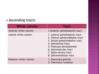  Ascending tracts
White column Tract
Anterior white column 1.Anterior spinothalamic tract
Lateral white column 1. Lateral spinothalamic tract
2. Ventral spinocerebellar tract
3. Dorsal spinocerebellar tract
4. Spinotectal tract
5. Fasiculus dorsolateralis
6. Spinoreticular tract
7. Spino-olivary tract
8. Spinovestibular tract
Posterior white column 1. Fasciculus gracilis
2. Fasciculus cuneatus
 