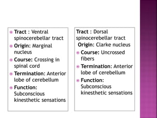  Tract : Ventral
spinocerebellar tract
 Origin: Marginal
nucleus
 Course: Crossing in
spinal cord
 Termination: Anterior
lobe of cerebellum
 Function:
Subconscious
kinesthetic sensations
Tract : Dorsal
spinocerebellar tract
Origin: Clarke nucleus
 Course: Uncrossed
fibers
 Termination: Anterior
lobe of cerebellum
 Function:
Subconscious
kinesthetic sensations
 