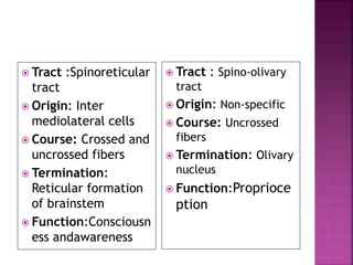  Tract :Spinoreticular
tract
 Origin: Inter
mediolateral cells
 Course: Crossed and
uncrossed fibers
 Termination:
Reticular formation
of brainstem
 Function:Consciousn
ess andawareness
 Tract : Spino-olivary
tract
 Origin: Non-specific
 Course: Uncrossed
fibers
 Termination: Olivary
nucleus
 Function:Proprioce
ption
 