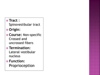  Tract :
Spinovestibular tract
 Origin:
 Course: Non-specific
Crossed and
uncrossed fibers
 Termination:
Lateral vestibular
nucleus
 Function:
Proprioception
 