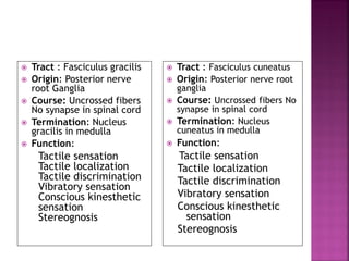  Tract : Fasciculus cuneatus
 Origin: Posterior nerve root
ganglia
 Course: Uncrossed fibers No
synapse in spinal cord
 Termination: Nucleus
cuneatus in medulla
 Function:
Tactile sensation
Tactile localization
Tactile discrimination
Vibratory sensation
Conscious kinesthetic
sensation
Stereognosis
 Tract : Fasciculus gracilis
 Origin: Posterior nerve
root Ganglia
 Course: Uncrossed fibers
No synapse in spinal cord
 Termination: Nucleus
gracilis in medulla
 Function:
Tactile sensation
Tactile localization
Tactile discrimination
Vibratory sensation
Conscious kinesthetic
sensation
Stereognosis
 