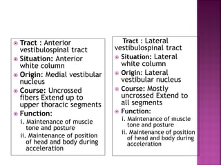  Tract : Anterior
vestibulospinal tract
 Situation: Anterior
white column
 Origin: Medial vestibular
nucleus
 Course: Uncrossed
fibers Extend up to
upper thoracic segments
 Function:
i. Maintenance of muscle
tone and posture
ii. Maintenance of position
of head and body during
acceleration
Tract : Lateral
vestibulospinal tract
 Situation: Lateral
white column
 Origin: Lateral
vestibular nucleus
 Course: Mostly
uncrossed Extend to
all segments
 Function:
i. Maintenance of muscle
tone and posture
ii. Maintenance of position
of head and body during
acceleration
 