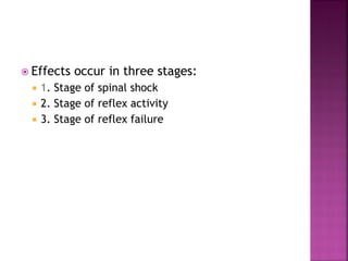  Effects occur in three stages:
 1. Stage of spinal shock
 2. Stage of reflex activity
 3. Stage of reflex failure
 