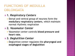  1. Respiratory Centers
 Dorsal and ventral group of neurons form the
medullary respiratory centers, which maintain
normal rhythmic respiration
 2. Vasomotor Center
 Vasomotor center controls blood pressure and
heart rate.
 3. Deglutition Center
 Deglutition center regulates the pharyngeal and
esophageal stages of deglutition
 