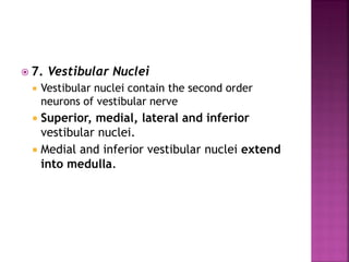  7. Vestibular Nuclei
 Vestibular nuclei contain the second order
neurons of vestibular nerve
 Superior, medial, lateral and inferior
vestibular nuclei.
 Medial and inferior vestibular nuclei extend
into medulla.
 