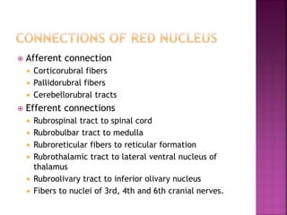  Afferent connection
 Corticorubral fibers
 Pallidorubral fibers
 Cerebellorubral tracts
 Efferent connections
 Rubrospinal tract to spinal cord
 Rubrobulbar tract to medulla
 Rubroreticular fibers to reticular formation
 Rubrothalamic tract to lateral ventral nucleus of
thalamus
 Rubroolivary tract to inferior olivary nucleus
 Fibers to nuclei of 3rd, 4th and 6th cranial nerves.
 