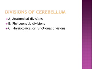 A. Anatomical divisions
 B. Phylogenetic divisions
 C. Physiological or functional divisions
 