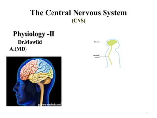 The Central Nervous System
(CNS)
Physiology -II
Dr.Mowlid
A.(MD)
1
 