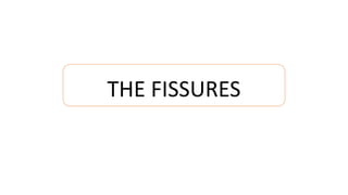 THE FISSURES
 