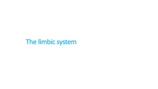 The limbic system
 