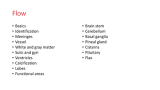 Flow
• Basics
• Identification
• Meninges
• Vessel
• White and gray matter
• Sulci and gyri
• Ventricles
• Calcification
• Lobes
• Functional areas
• Brain stem
• Cerebellum
• Basal ganglia
• Pineal gland
• Cisterns
• Pituitary
• Flax
 