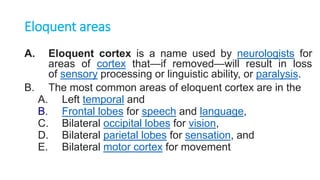 Eloquent areas
A. Eloquent cortex is a name used by neurologists for
areas of cortex that—if removed—will result in loss
of sensory processing or linguistic ability, or paralysis.
B. The most common areas of eloquent cortex are in the
A. Left temporal and
B. Frontal lobes for speech and language,
C. Bilateral occipital lobes for vision,
D. Bilateral parietal lobes for sensation, and
E. Bilateral motor cortex for movement
 