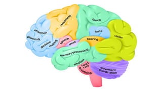 CNS RADIOLOGY FOR RADIATION ONCOLOGISTS